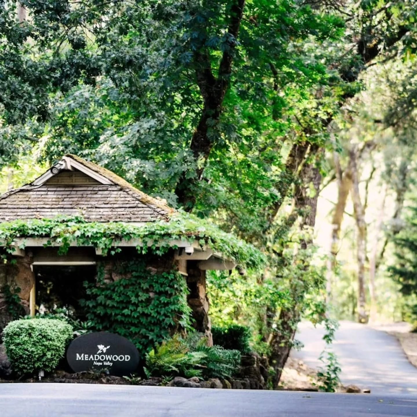 Tree-lined entrance to Meadowood Napa Valley