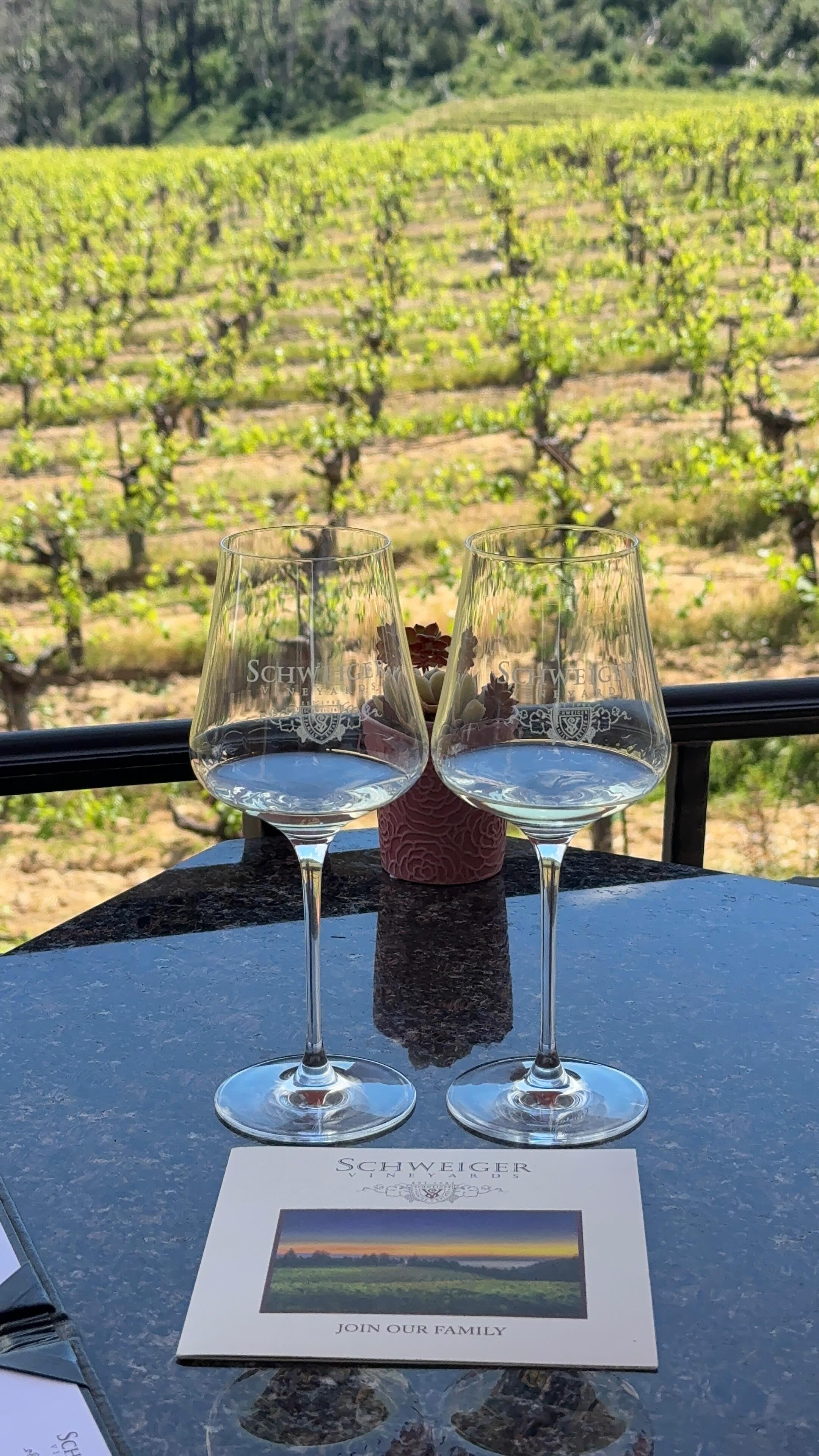 Two tasting glasses on a terrace overlooking Schweiger Vineyards