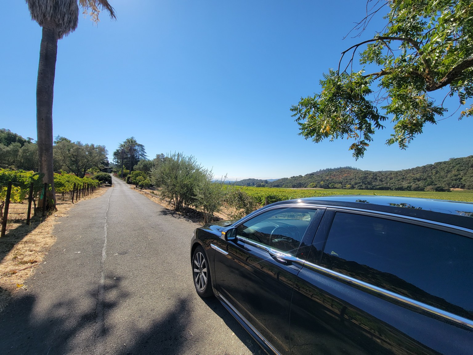 Dark vehicle parked beside a vineyard road in Napa Valley