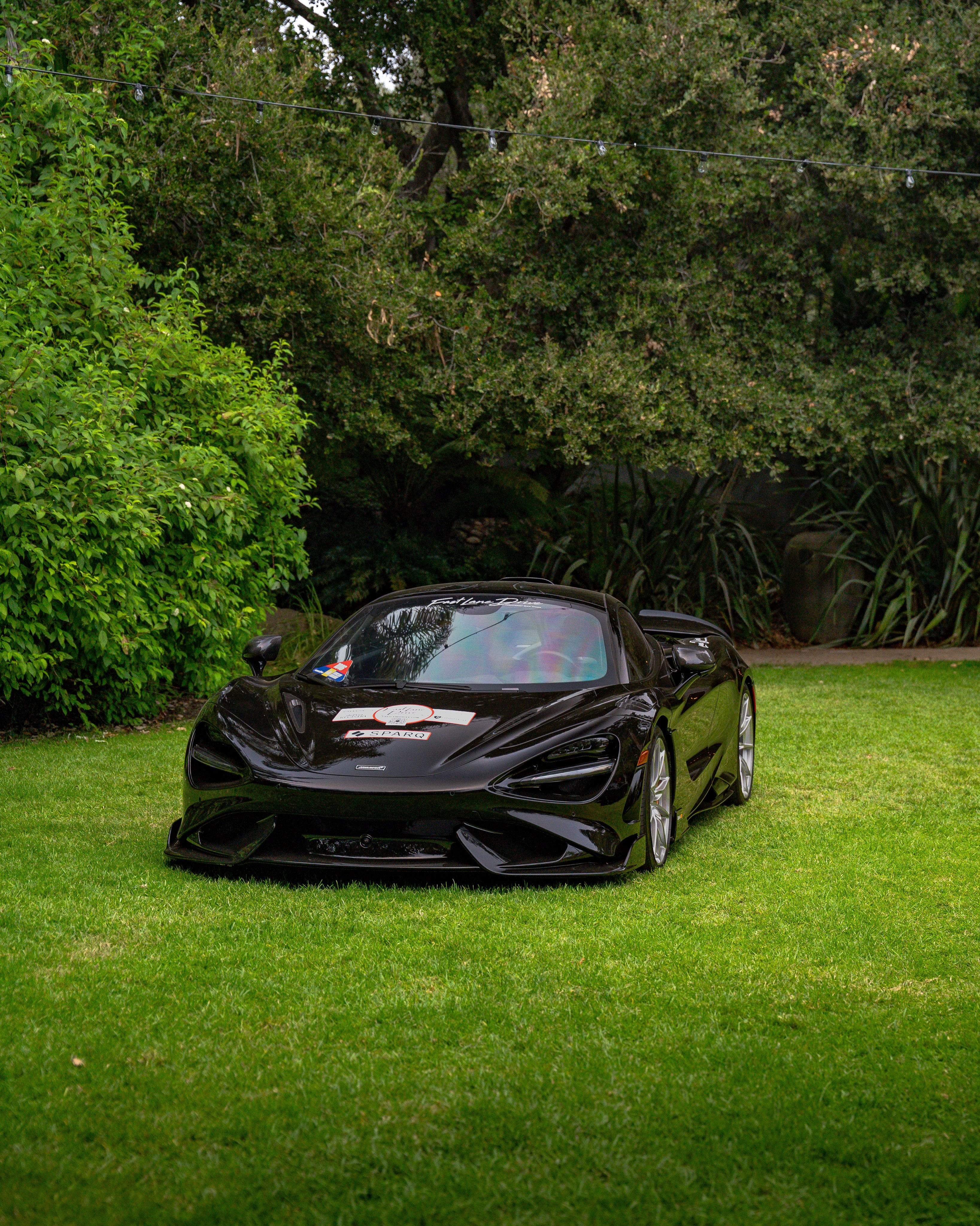 Dark performance car displayed on grass after a Heavenly Auto Spa detail